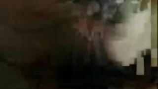 উদ্যমী কাম ভোজনরসিক  ...