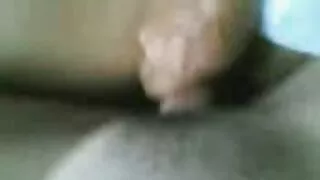 মোরগ ক্ষুধার্ত স্বর্ ...