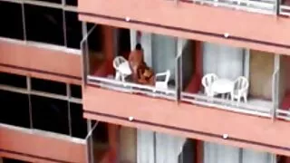 বড় স্তনের মালিক ইয় ...