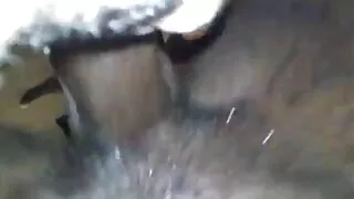 শীর্ষে থাকা মহিলা নত ...