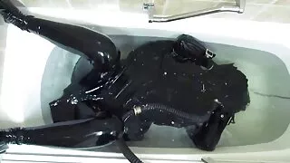 শৃঙ্গাকার স্বর্ণকেশী ...